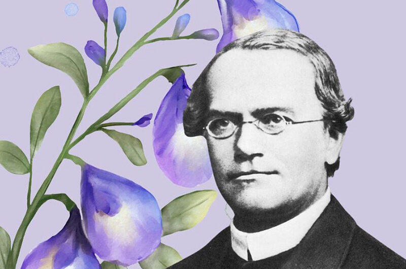 КатоЛичности: Грегор Иоганн Мендель – монах, открывший законы наследственности