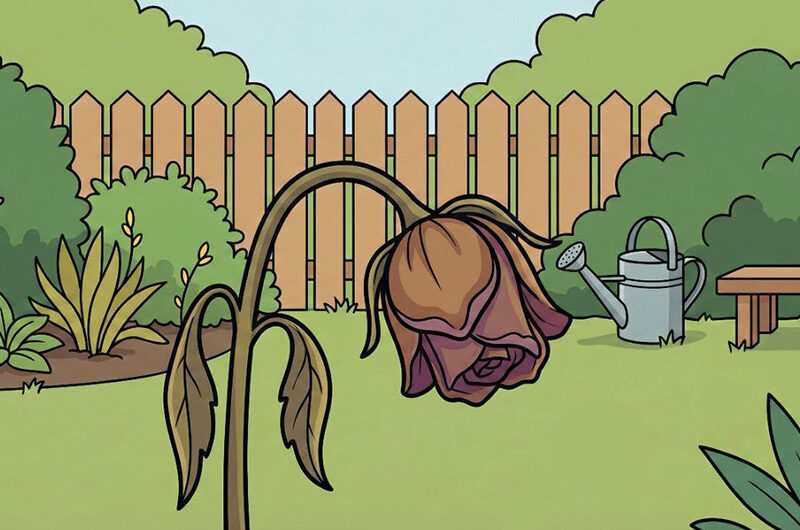 Прощена, но не свободна: почему чувство стыда остается после исповеди?