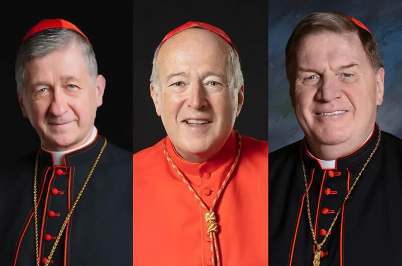 Американские кардиналы — администрации Трампа: «Нет деструктивной политике»